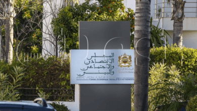 حماية الأطفال على وسائل التواصل الاجتماعي: توصيات المجلس الاقتصادي والاجتماعي والبيئي
