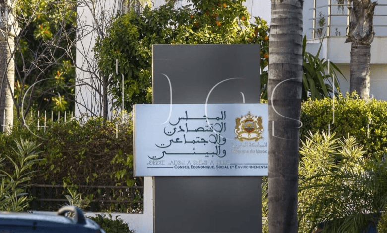 حماية الأطفال على وسائل التواصل الاجتماعي: توصيات المجلس الاقتصادي والاجتماعي والبيئي